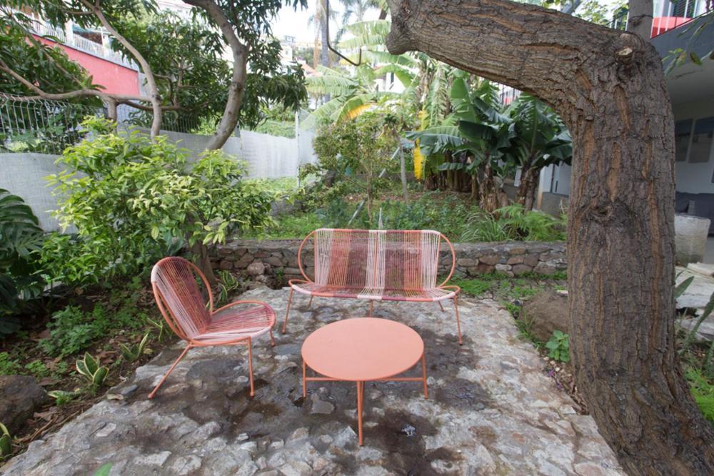 Rochinha Cozy Home Funchal  Buitenkant foto