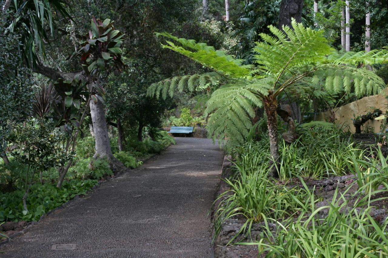 Rochinha Cozy Home Funchal  Buitenkant foto